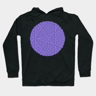 Penrose Pattern Blue & Purple Fashion Print Hoodie